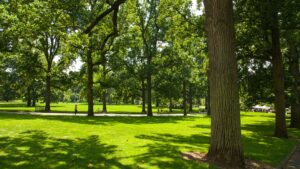 therapy centre in Leeds; how does green space improve mental health
